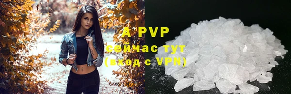 ALPHA-PVP Белокуриха