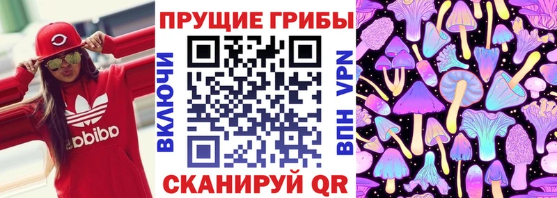 KRAKEN ссылка Макаров Псилоцибиновые грибы прущие грибы